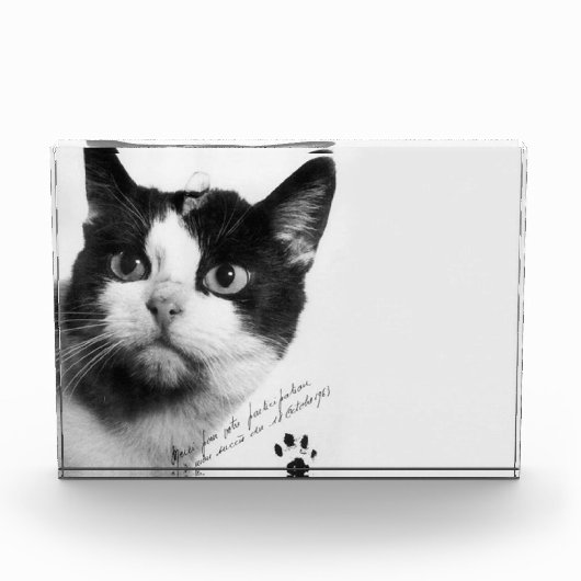 Félicette: De eerste kat in de ruimte Fotoblokken (Voorkant)