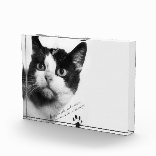 Félicette: De eerste kat in de ruimte Fotoblokken