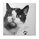 Félicette: De eerste kat in de ruimte Tegeltje (Voorkant)