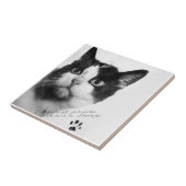 Félicette: De eerste kat in de ruimte Tegeltje (Zijkant)