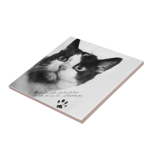 Félicette: De eerste kat in de ruimte Tegeltje (Zijkant)