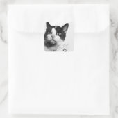 Félicette: De eerste kat in de ruimte Vierkante Sticker (Tas)