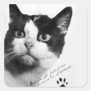 Félicette: De eerste kat in de ruimte Vierkante Sticker