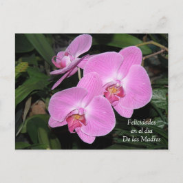 Felicidades dia de las Madres Briefkaart