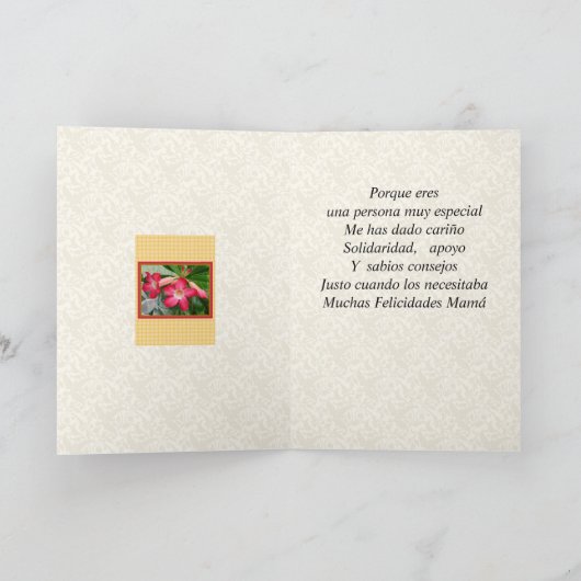 Felicidades Mama en el Dia de Las Madres 1021 Kaart (Binnen)
