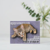 Felicitatie! Je wordt gecastreerd! Briefkaart (Staand voorkant)