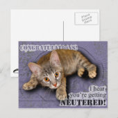 Felicitatie! Je wordt gecastreerd! Briefkaart (Voorkant / Achterkant)