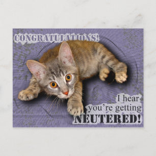 Felicitatie! Je wordt gecastreerd! Briefkaart