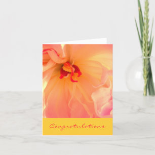 Felicitatie Kaart