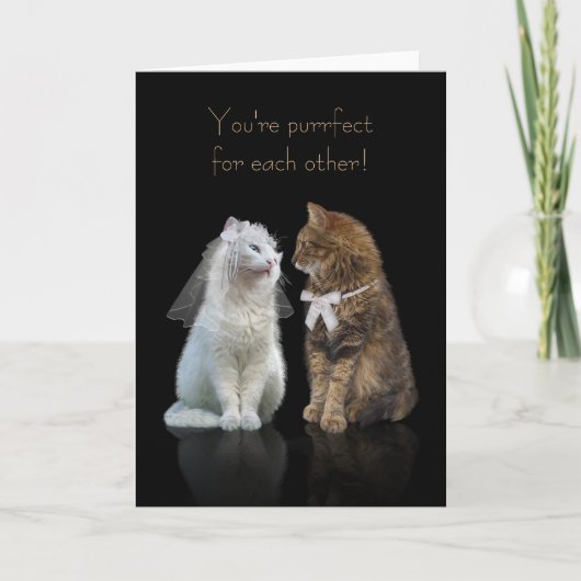 Felicitatie met trouwen / verloving voor kattenlie kaart (Voorkant)