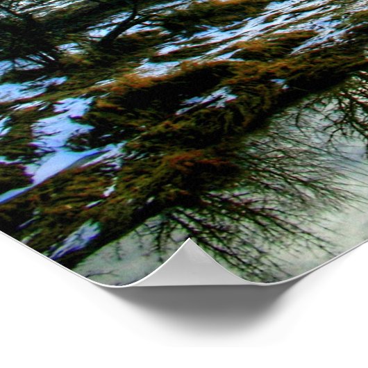 Felida bridge HDR.2 Poster (Hoek)