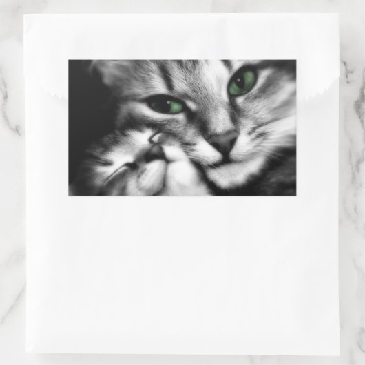 Feline affectie rechthoekige sticker (Tas)