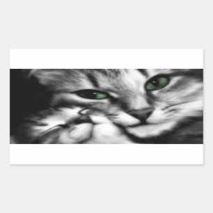 Feline affectie rechthoekige sticker