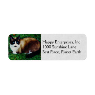 Feline Beauty Etiket