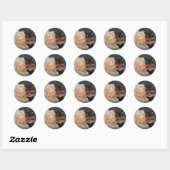 Feline bruid en bruidegom ronde sticker (Vel)