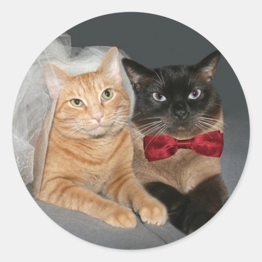 Feline bruid en bruidegom ronde sticker (Voorkant)