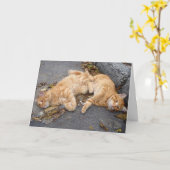Feline buddies kaart (Gele Bloem)