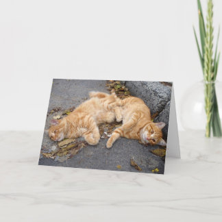 Feline buddies kaart