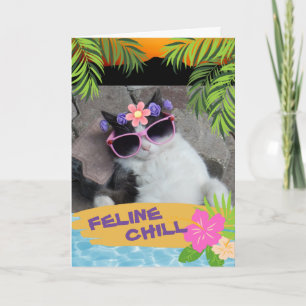 Feline Chill Bon Voyage Cat Tropical Kaart