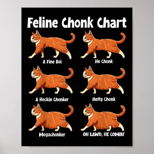 Feline Chonk Grafiek Grappige Dikke Kat Poster (Voorkant)