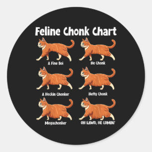 Feline Chonk Grafiek Grappige Dikke Kat Ronde Sticker