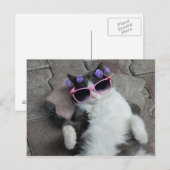 Feline Diva Briefkaart (Voorkant / Achterkant)