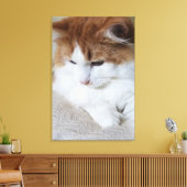 (Feline Fancy) Kat Overpeinzing: Kat Foto Canvas Afdruk (Insitu (Woonkamer))