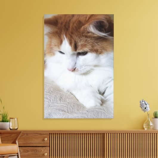 (Feline Fancy) Kat Overpeinzing: Kat Foto Canvas Afdruk (Insitu (Woonkamer))