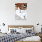 (Feline Fancy) Kat Overpeinzing: Kat Foto Canvas Afdruk (Insitu (Slaapkamer))