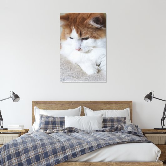 (Feline Fancy) Kat Overpeinzing: Kat Foto Canvas Afdruk (Insitu (Slaapkamer))