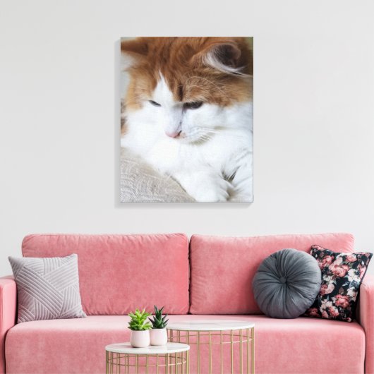 (Feline Fancy) Kat Overpeinzing: Kat Foto Canvas Afdruk (Insitu (Woonkamer))