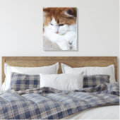 (Feline Fancy) Kat Overpeinzing: Kat Foto Canvas Afdruk (Insitu (Slaapkamer))