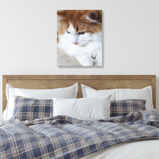 (Feline Fancy) Kat Overpeinzing: Kat Foto Canvas Afdruk (Insitu (Slaapkamer))