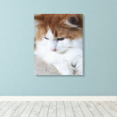 (Feline Fancy) Kat Overpeinzing: Kat Foto Canvas Afdruk (Insitu (Houten vloer))