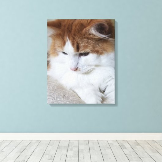 (Feline Fancy) Kat Overpeinzing: Kat Foto Canvas Afdruk (Insitu (Houten vloer))