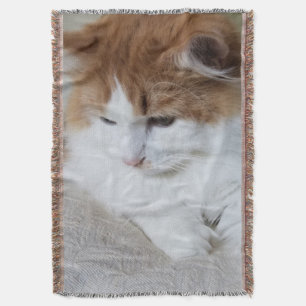 (Feline Fancy) Kat Overpeinzing: Kat Foto Deken
