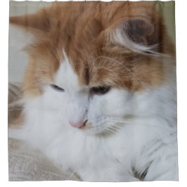(Feline Fancy) Kat Overpeinzing: Kat Foto Douchegordijn