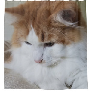 (Feline Fancy) Kat Overpeinzing: Kat Foto Douchegordijn