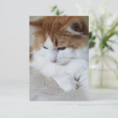 (Feline Fancy) Kat Overpeinzing: Kat Foto Kaart (Staand voorkant)