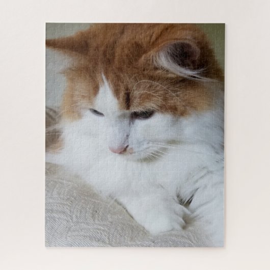 (Feline Fancy) Kat Overpeinzing: Kat Foto Legpuzzel (Verticaal)
