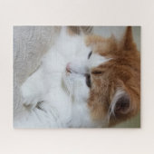 (Feline Fancy) Kat Overpeinzing: Kat Foto Legpuzzel (Horizontaal)