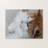 (Feline Fancy) Kat Overpeinzing: Kat Foto Legpuzzel (Horizontaal)