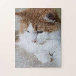 (Feline Fancy) Kat Overpeinzing: Kat Foto Legpuzzel