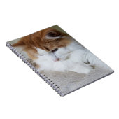 (Feline Fancy) Kat Overpeinzing: Kat Foto Notitieboek (Rechterzijde)