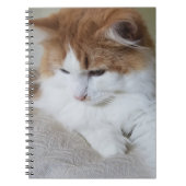 (Feline Fancy) Kat Overpeinzing: Kat Foto Notitieboek (Voorkant)