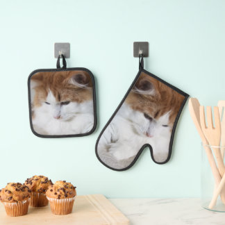 (Feline Fancy) Kat Overpeinzing: Kat Foto Ovenwant & Pannenlap Set