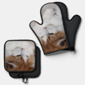 (Feline Fancy) Kat Overpeinzing: Kat Foto Ovenwant & Pannenlap Set (Voorkant / Achterkant)