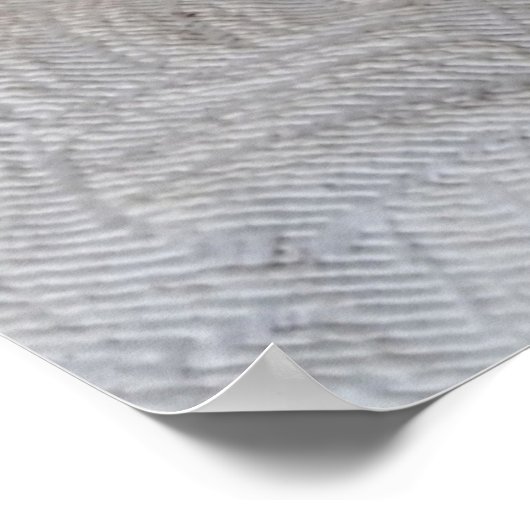 (Feline Fancy) Kat Overpeinzing: Kat Foto Poster (Hoek)