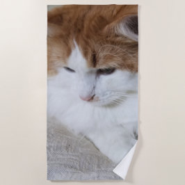 (Feline Fancy) Kat Overpeinzing: Kat Foto Strandlaken