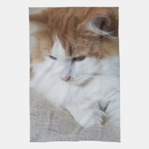 (Feline Fancy) Kat Overpeinzing: Kat Foto Theedoek